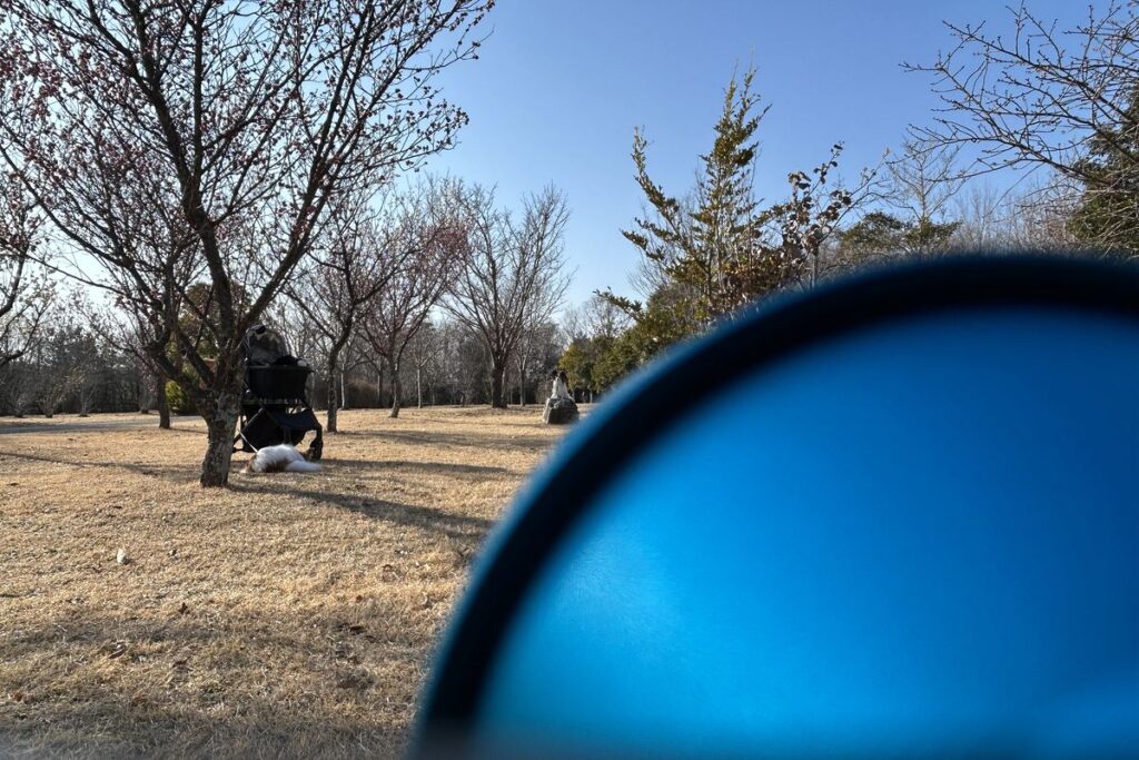 iPhone広角カメラで撮影した公園と犬の風景