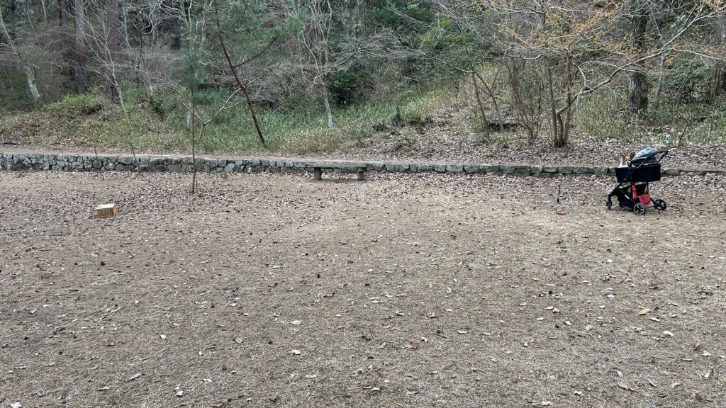 エレコム8倍望遠レンズ10m距離の目安と撮影環境