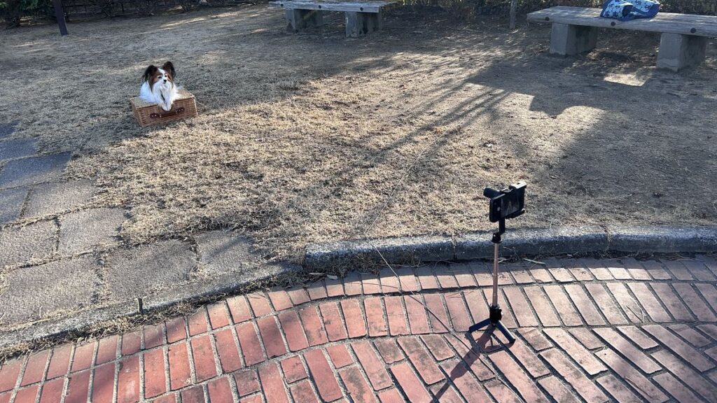 エレコム8倍望遠レンズ3m撮影時の距離と三脚配置