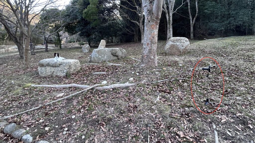 エレコム8倍望遠レンズ5m撮影時の設置状況