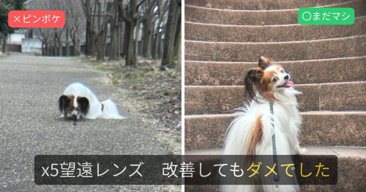 iPhone外付け望遠レンズx5の比較 失敗写真と改善後の作例 改善してもダメだった検証結果